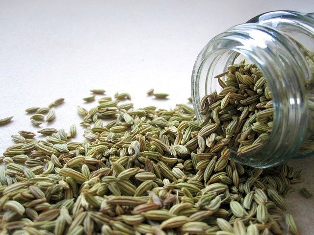 Fennel tea