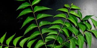 neem leaves for hair care
