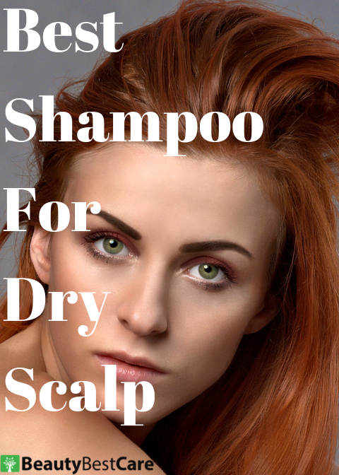 best shampoo dry scalp