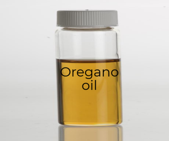 oregano oil for fungus
