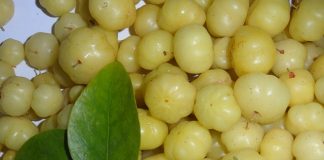 amla for hair growth