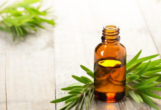 11 Essential Oils For Hair Growth And Thickness