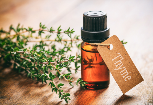 Thyme Oil